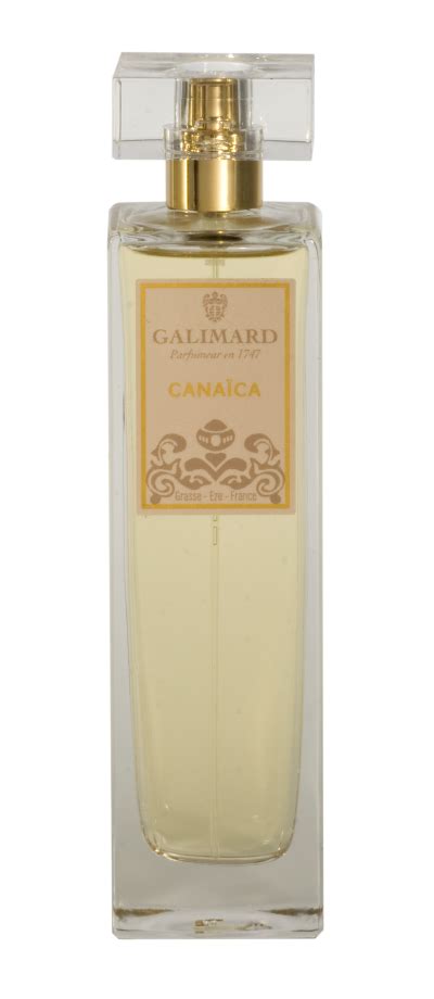 galimard canaica